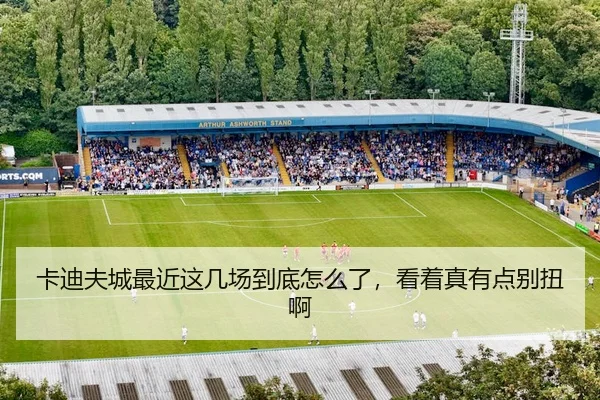 卡迪夫城最近这几场到底怎么了，看着真有点别扭啊